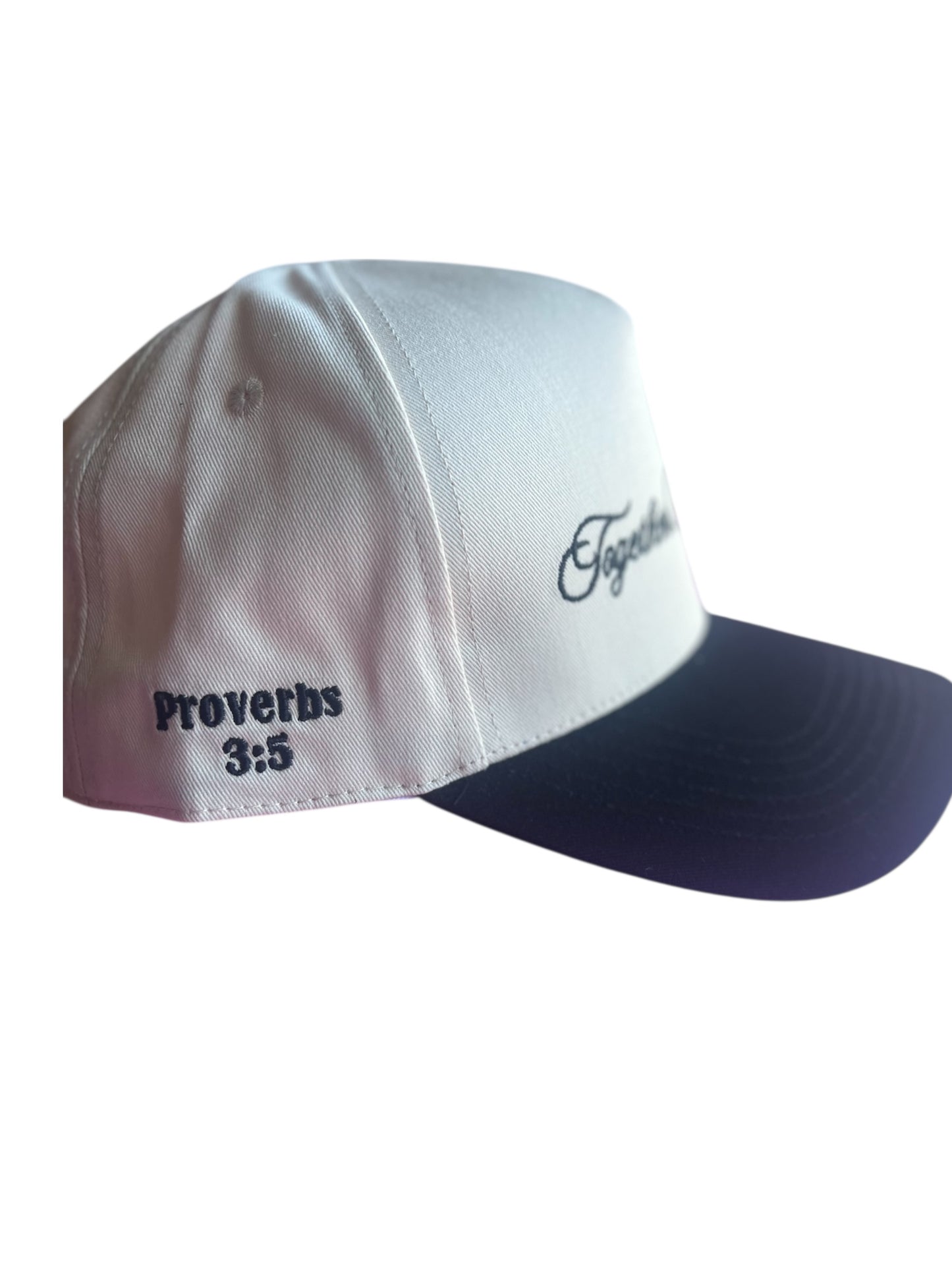 Proverbs 3:5 Black and tan