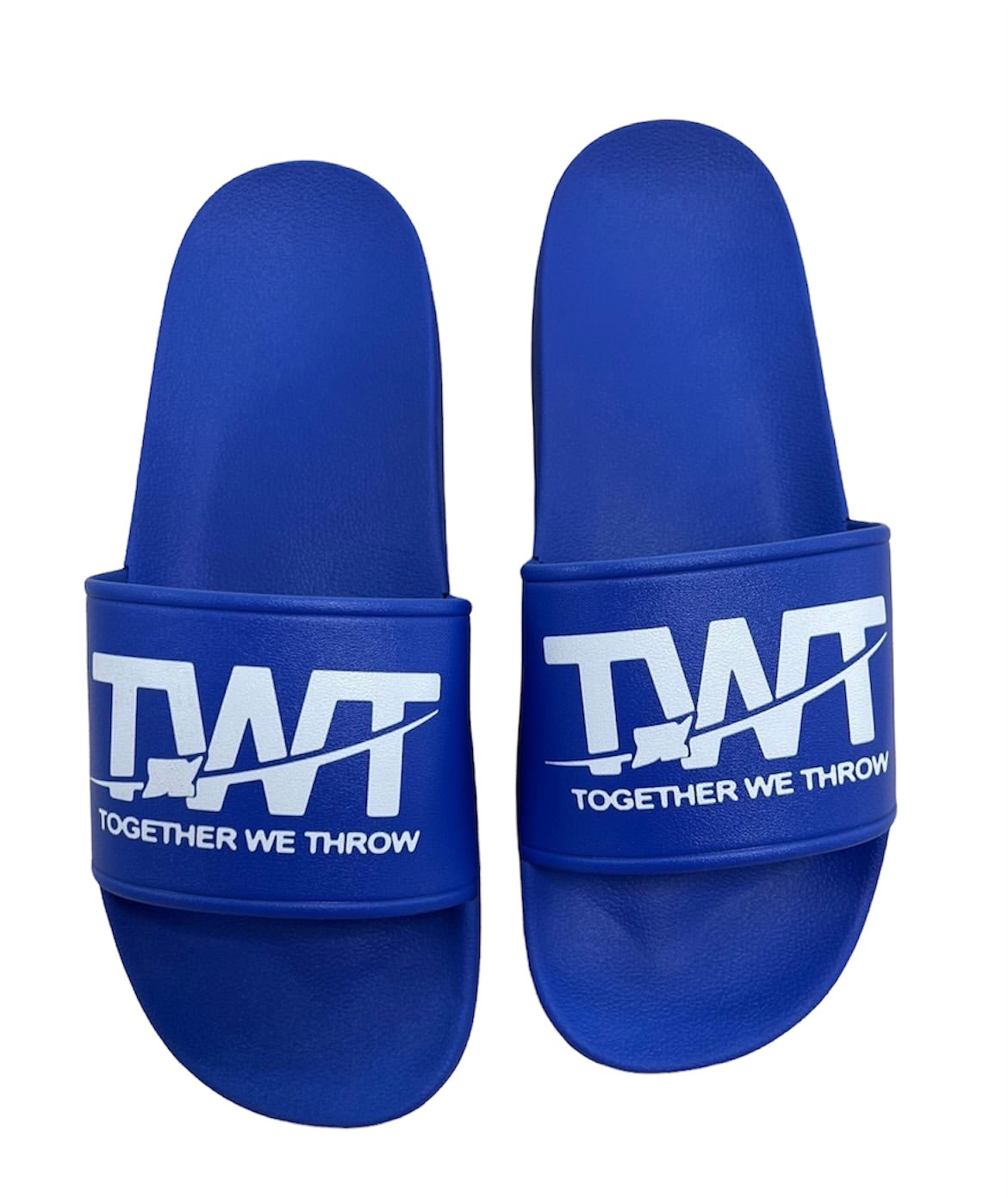 Blue Bagger Slides